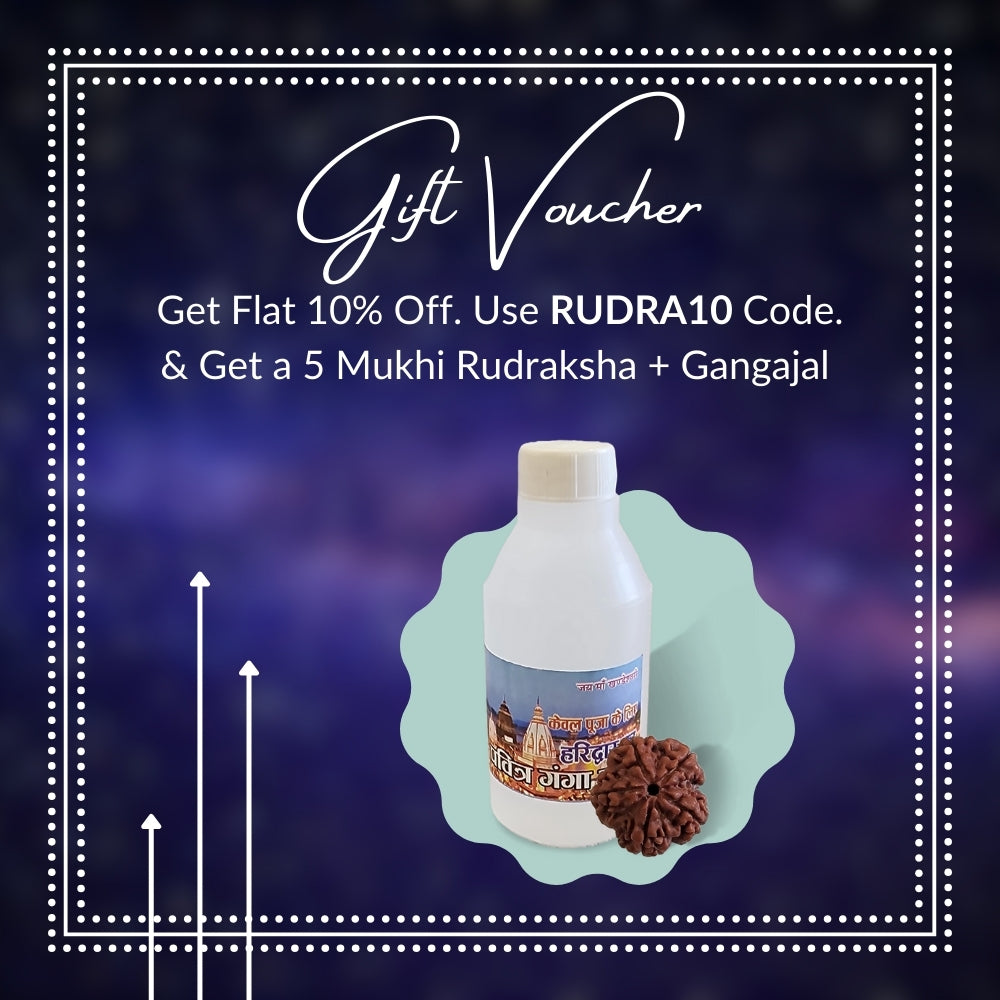 Shiv Kripa  Rudraksha