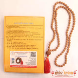 8 Mukhi Rudraksha With 5 Mukhi Rudraksha Mala