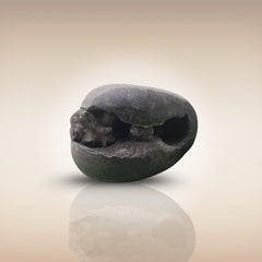Shri Laxmi Narayan Shaligram - SH003