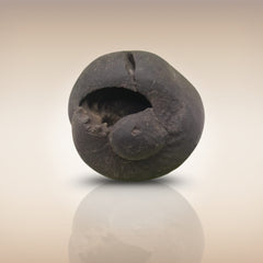 Shri Laxmi Narayan Shaligram - SH005