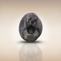 Shri Laxmi Narayan Shaligram - SH006