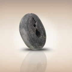 Shri Laxmi Narayan Shaligram - SH008