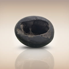 Shri Laxmi Narayan Shaligram - SH019