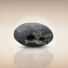Shri Laxmi Narayan Shaligram - SH020