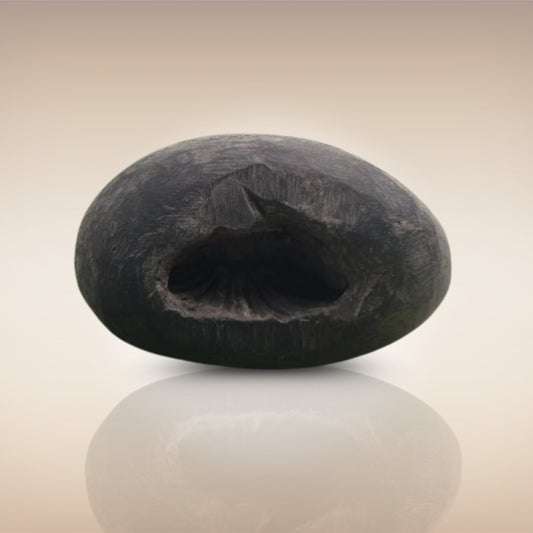 Shri Laxmi Narayan Shaligram - SH023