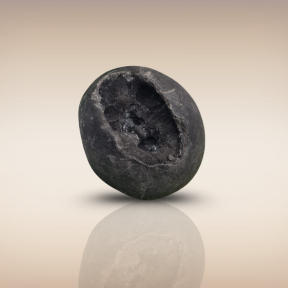 Shri Laxmi Narayan Shaligram - SH024