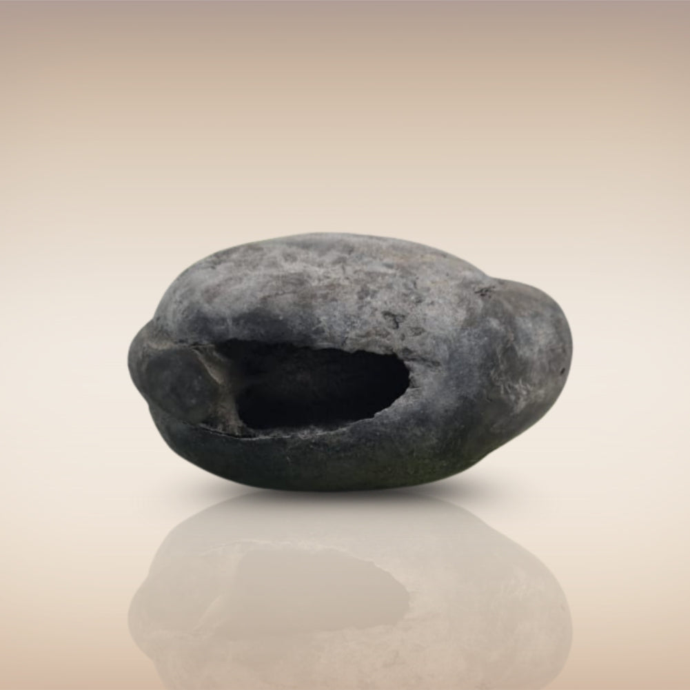 Shri Laxmi Narayan Shaligram - SH025