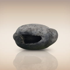 Shri Laxmi Narayan Shaligram - SH025