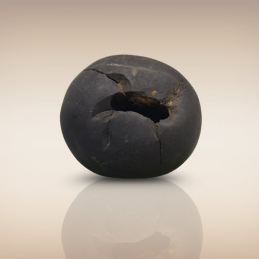 Shri Laxmi Narayan Shaligram - SH026