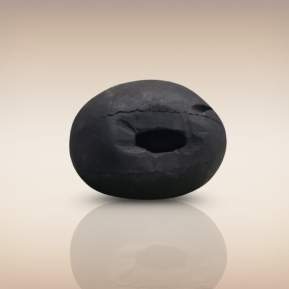 Shri Laxmi Narayan Shaligram - SH028