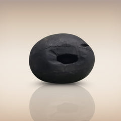 Shri Laxmi Narayan Shaligram - SH028