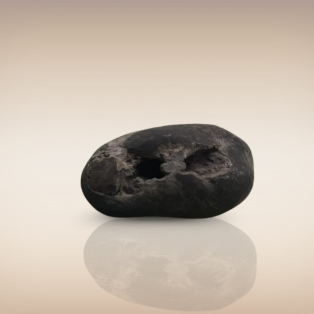 Shri Laxmi Narayan Shaligram - SH032