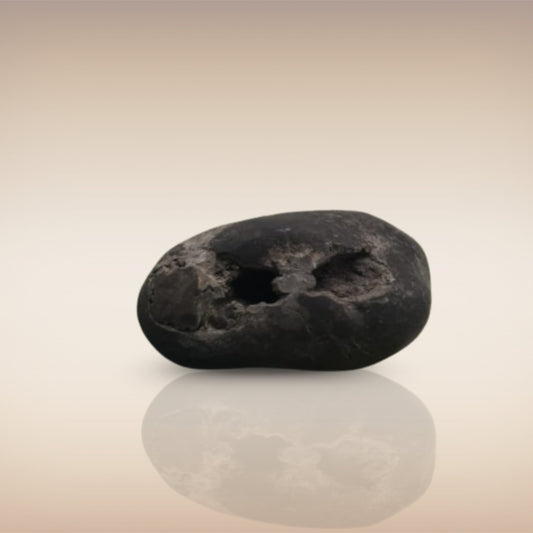 Shri Laxmi Narayan Shaligram - SH032