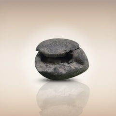 Shri Laxmi Narayan Shaligram - SH037