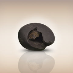 Shri Laxmi Narayan Shaligram - SH038