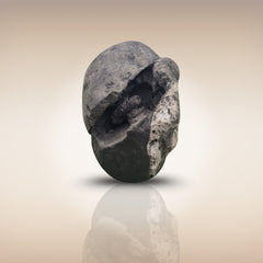 Shri Laxmi Narayan Shaligram - SH043