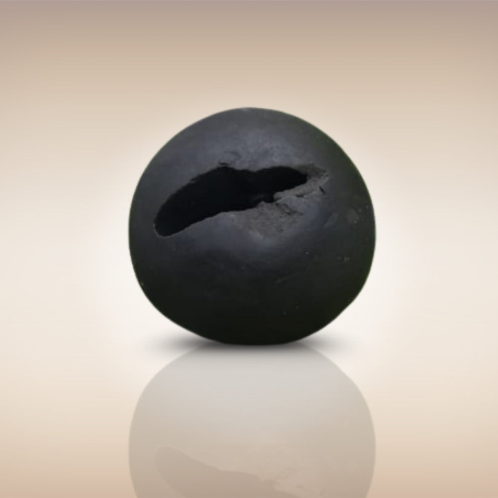 Shri Laxmi Narayan Shaligram - SH045