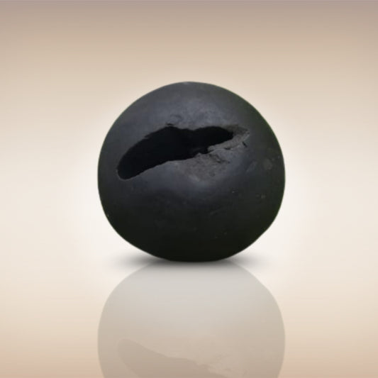 Shri Laxmi Narayan Shaligram - SH045