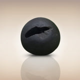 Shri Laxmi Narayan Shaligram - SH045