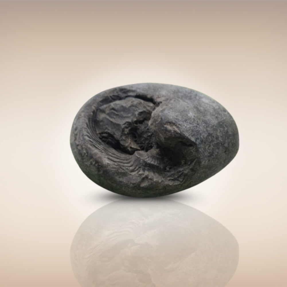 Shri Laxmi Narayan Shaligram - SH046