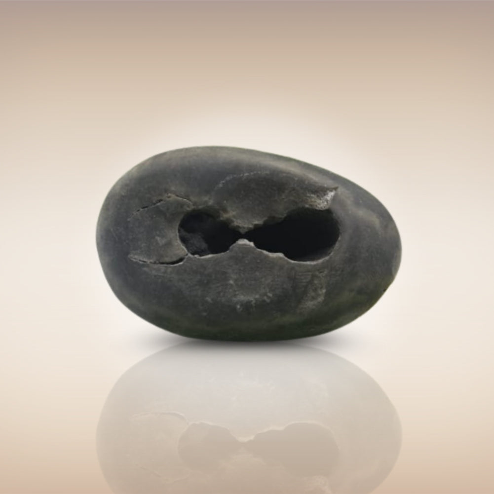 Shri Laxmi Narayan Shaligram - SH048