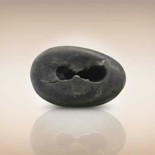 Shri Laxmi Narayan Shaligram - SH048