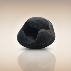 Shri Laxmi Narayan Shaligram - SH050