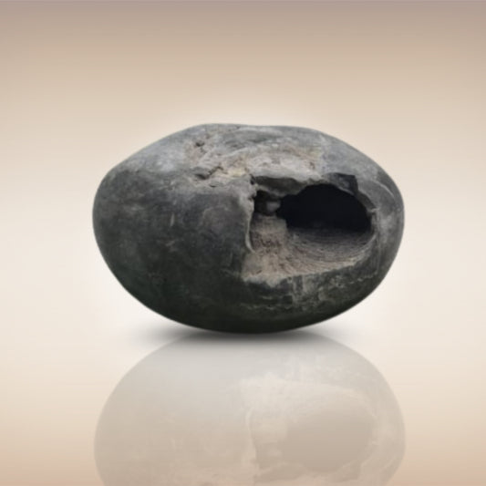 Shri Laxmi Narayan Shaligram - SH051