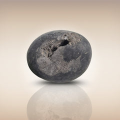 Shri Laxmi Narayan Shaligram - SH054