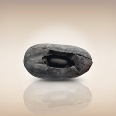 Shri Laxmi Narayan Shaligram - SH055