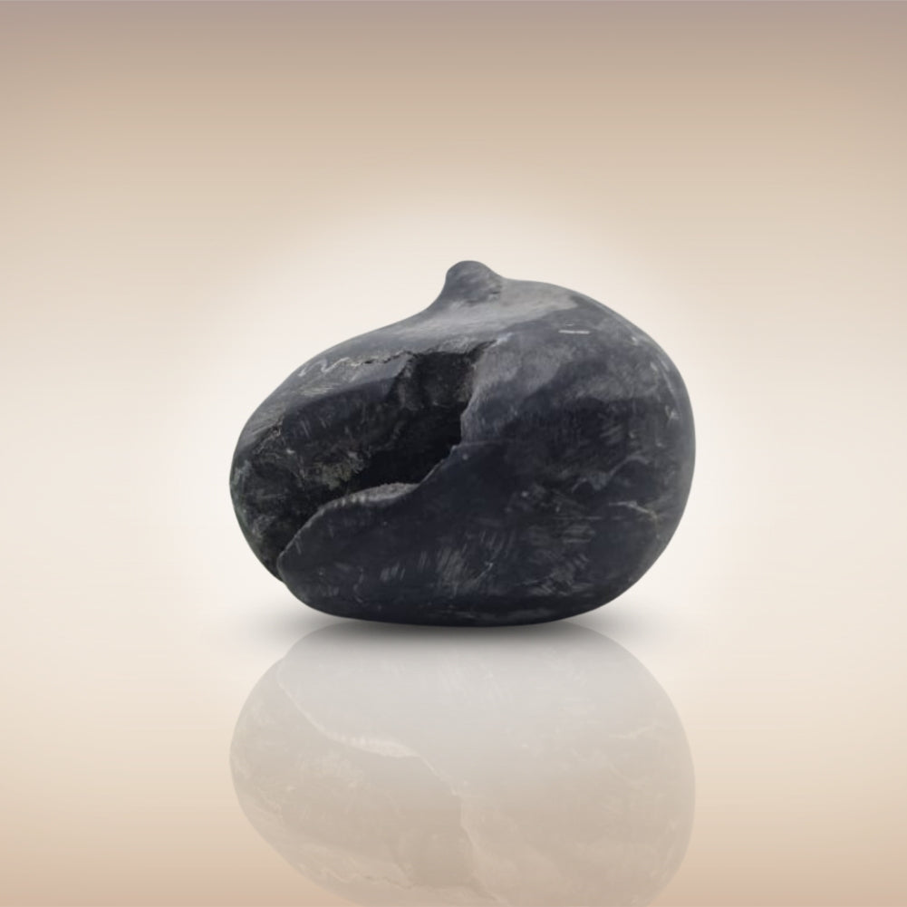 Shri Laxmi Narayan Shaligram - SH063