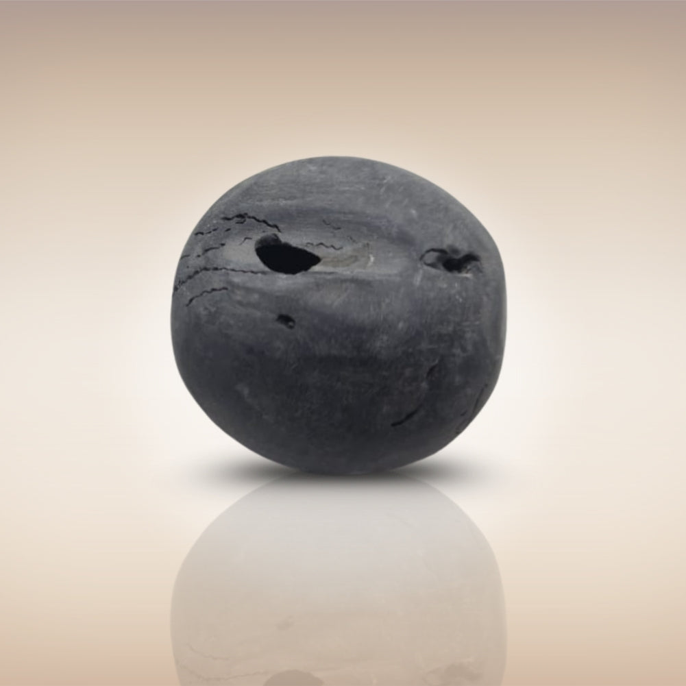 Shri Laxmi Narayan Shaligram - SH064