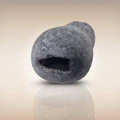 Shri Laxmi Narayan Shaligram - SH066