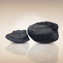 Shri Laxmi Narayan Shaligram - SH067