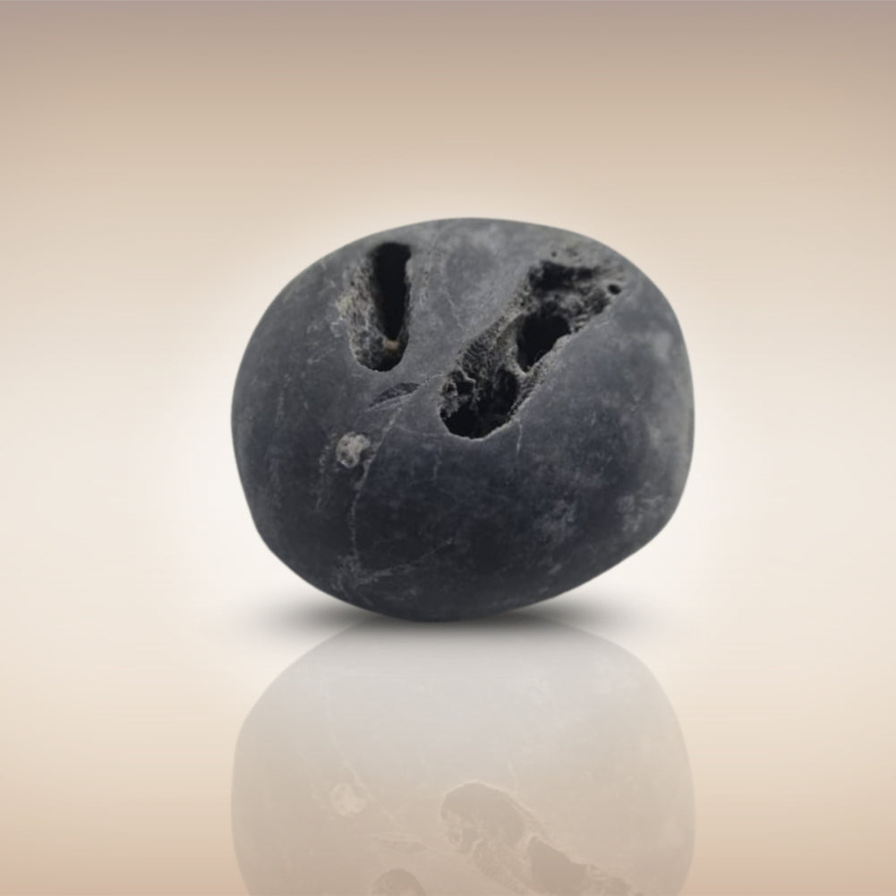 Shri Laxmi Narayan Shaligram - SH068