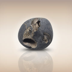 Shri Laxmi Narayan Shaligram - SH069