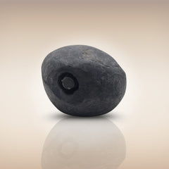 Shri Laxmi Narayan Shaligram - SH070