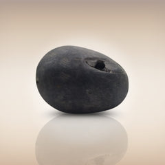 Shri Laxmi Narayan Shaligram - SH071