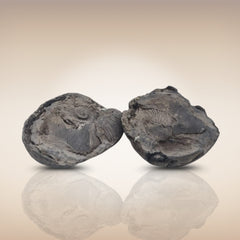 Shri Laxmi Narayan Shaligram - SH086