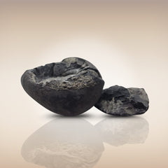 Shri Laxmi Narayan Shaligram - SH113