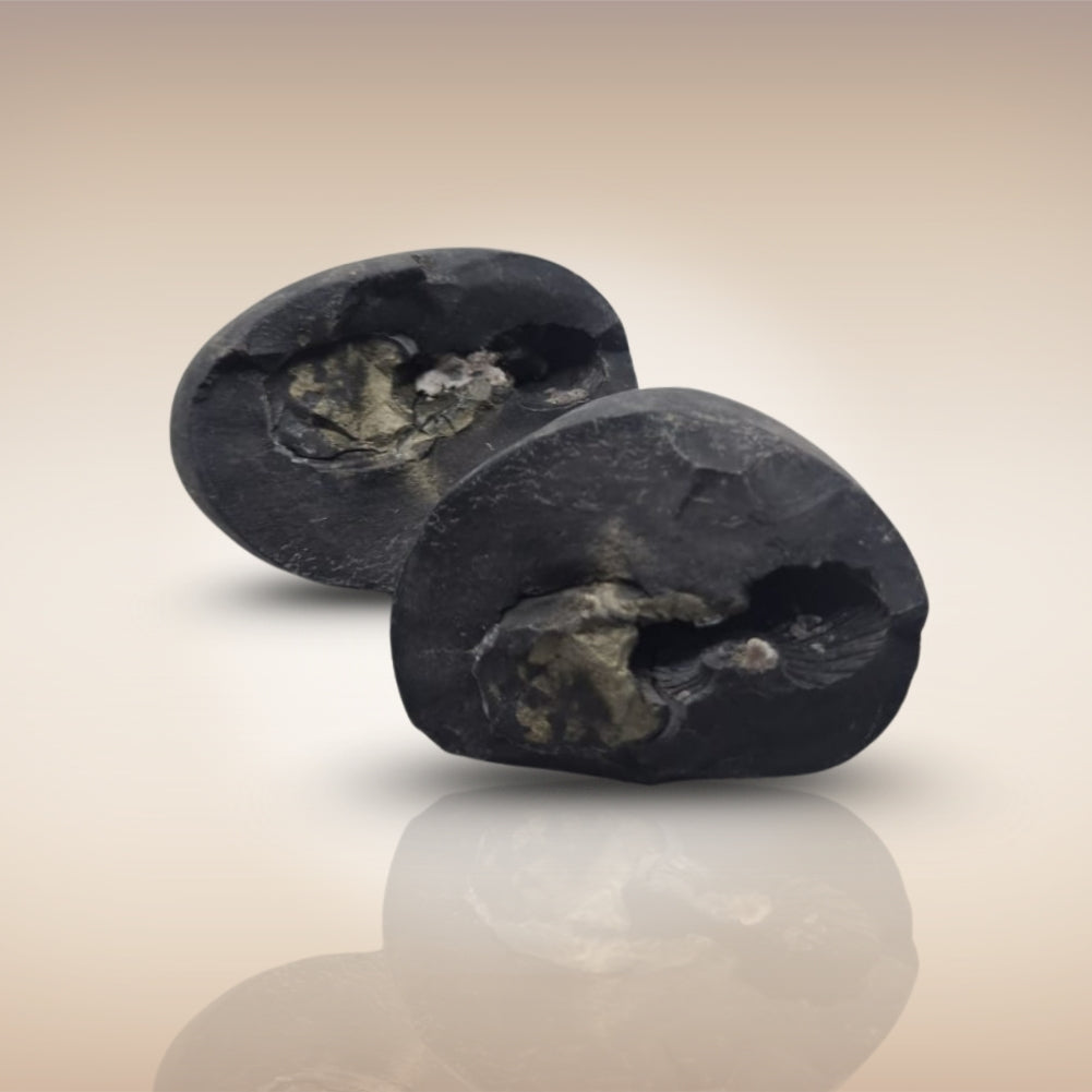 Shri Laxmi Narayan Shaligram - SH119