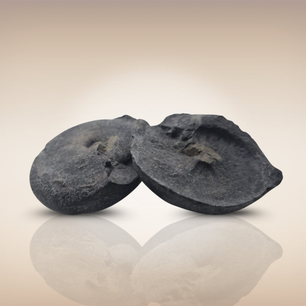 Shri Laxmi Narayan Shaligram - SH122