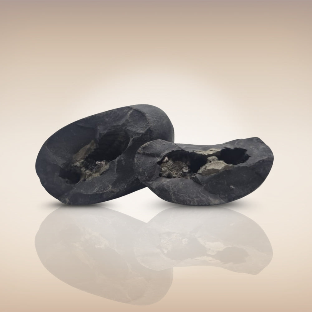 Shri Laxmi Narayan Shaligram - SH123