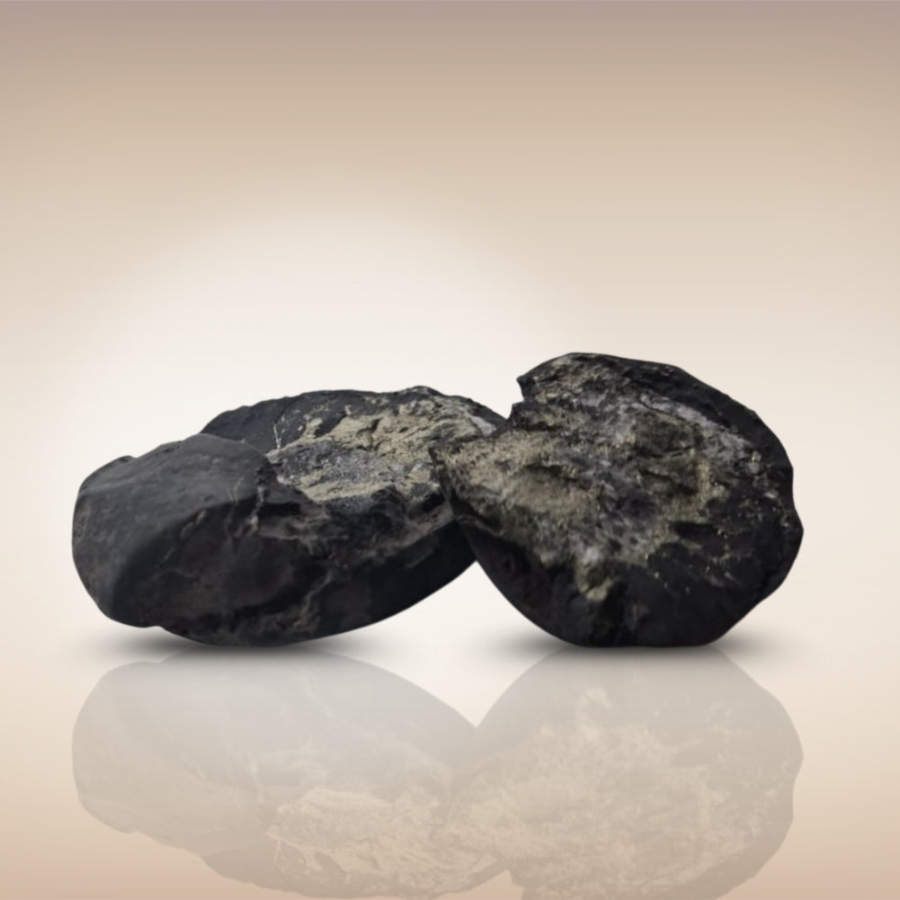 Shri Laxmi Narayan Shaligram - SH131