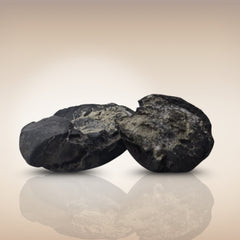 Shri Laxmi Narayan Shaligram - SH131