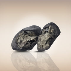 Shri Laxmi Narayan Shaligram - SH145