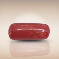 Natural Coral (Moonga) | Certified Gemstone 7.15 Carat