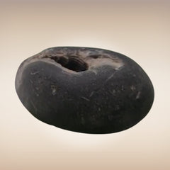 Shri Laxmi Narayan Shaligram - SH004