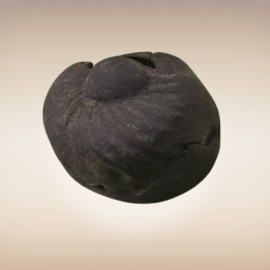 Shri Laxmi Narayan Shaligram - SH005