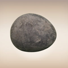 Shri Laxmi Narayan Shaligram - SH007